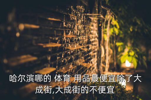 哈爾濱哪的 體育 用品最便宜除了大成街,大成街的不便宜