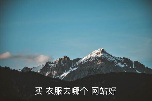 買 衣服去哪個(gè) 網(wǎng)站好