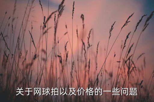 關(guān)于網(wǎng)球拍以及價(jià)格的一些問(wèn)題