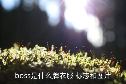 boss是什么牌衣服 標(biāo)志和圖片