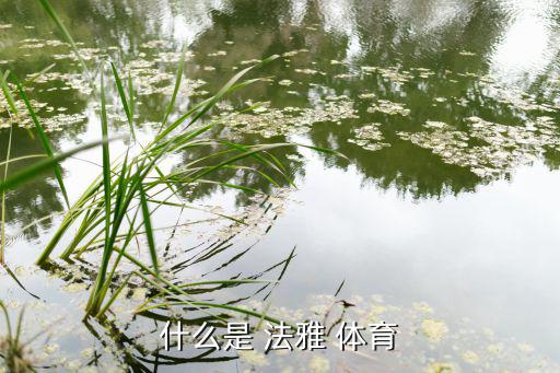 什么是 法雅 體育