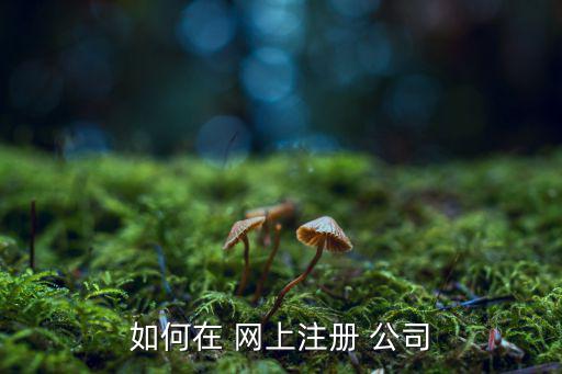 注冊(cè)公司網(wǎng)上申請(qǐng)入口,公司登記須遵循什么規(guī)則?