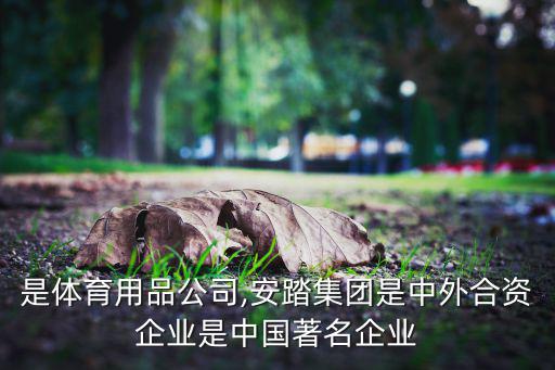 什么是體育用品公司,安踏集團是中外合資企業(yè)是中國著名企業(yè)