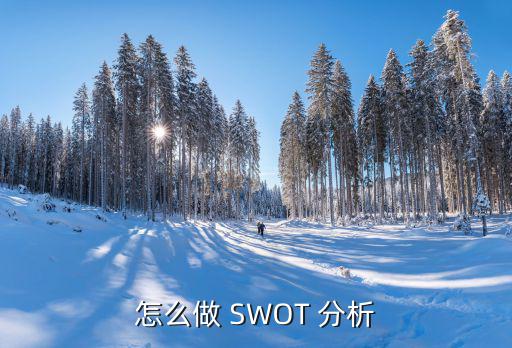 怎么做 SWOT 分析