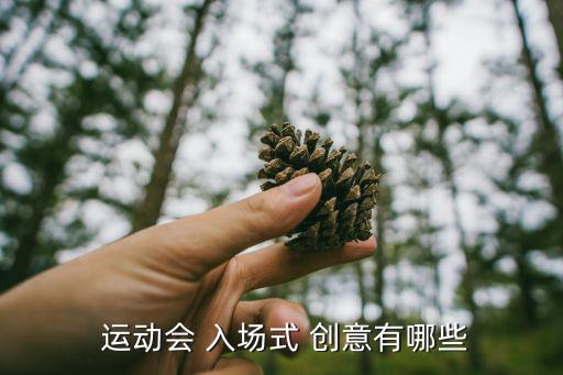  運(yùn)動(dòng)會(huì) 入場(chǎng)式 創(chuàng)意有哪些