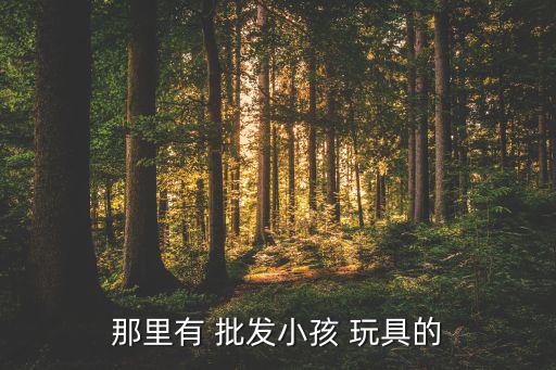 那里有 批發(fā)小孩 玩具的