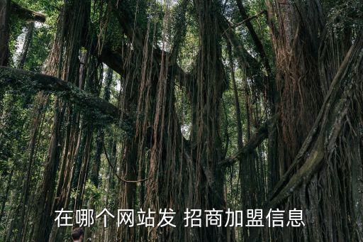 在哪個網(wǎng)站發(fā) 招商加盟信息