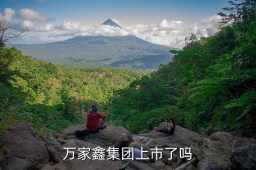 萬家鑫集團(tuán)上市了嗎