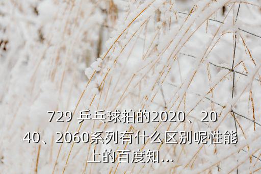 正牌729乒乓球拍價格表,友誼729乒乓球拍底板價格表