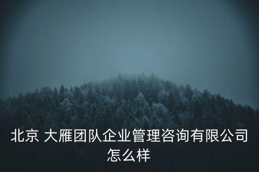 北京 大雁團(tuán)隊(duì)企業(yè)管理咨詢有限公司怎么樣