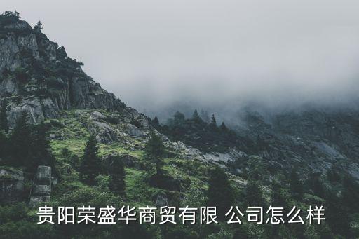  貴陽榮盛華商貿(mào)有限 公司怎么樣