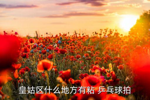 皇姑區(qū)什么地方有粘 乒乓球拍