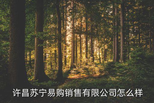  許昌蘇寧易購(gòu)銷售有限公司怎么樣