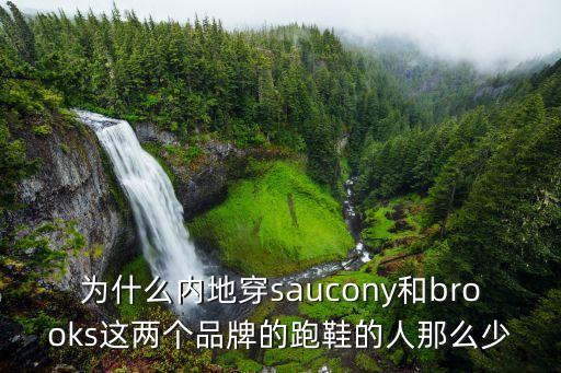 為什么內(nèi)地穿saucony和brooks這兩個品牌的跑鞋的人那么少