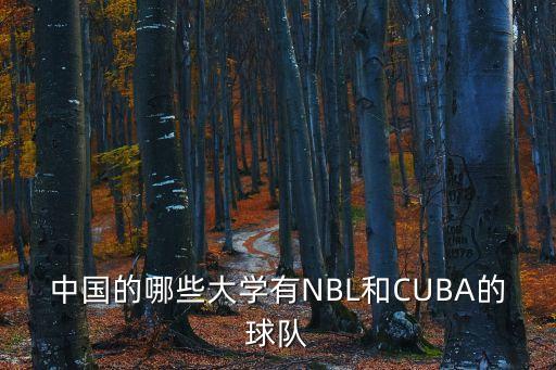 中國(guó)的哪些大學(xué)有NBL和CUBA的球隊(duì)