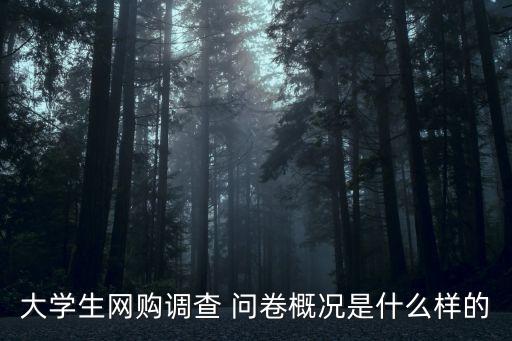 大學(xué)生網(wǎng)購(gòu)調(diào)查 問卷概況是什么樣的