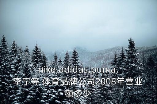 nike,adidas,puma,李寧等 體育品牌公司2008年?duì)I業(yè)額多少