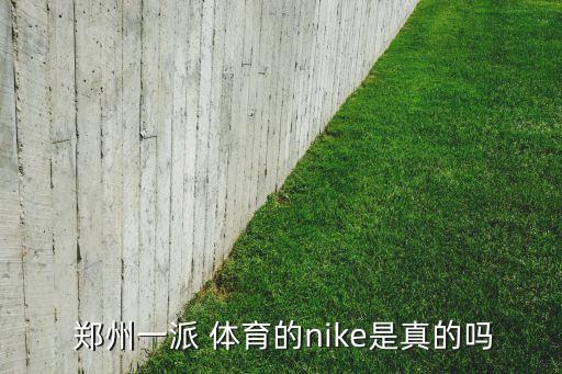  鄭州一派 體育的nike是真的嗎