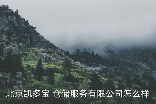 北京凱多寶 倉儲服務(wù)有限公司怎么樣