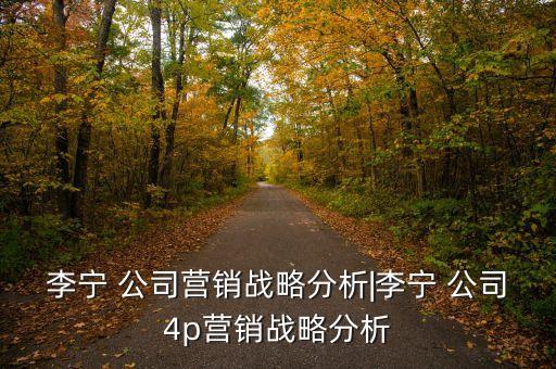 李寧 公司營銷戰(zhàn)略分析|李寧 公司4p營銷戰(zhàn)略分析