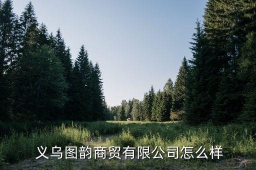  義烏圖韻商貿(mào)有限公司怎么樣