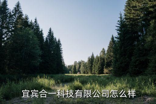  宜賓合一科技有限公司怎么樣