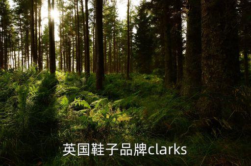 英國鞋子品牌clarks