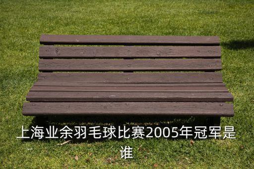 上海業(yè)余羽毛球比賽2005年冠軍是誰