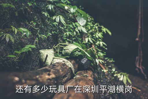 還有多少玩具廠在深圳平湖橫崗