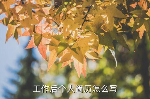 工作后個(gè)人簡(jiǎn)歷怎么寫