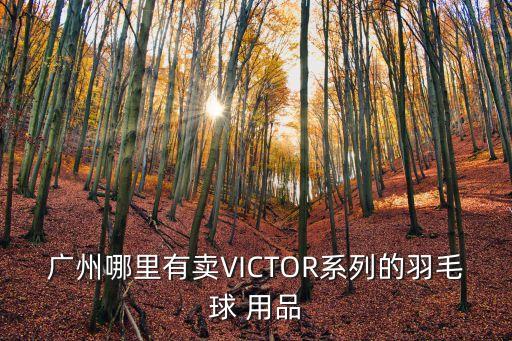 廣州哪里有賣(mài)VICTOR系列的羽毛球 用品