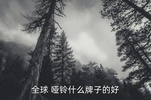 全球 啞鈴什么牌子的好