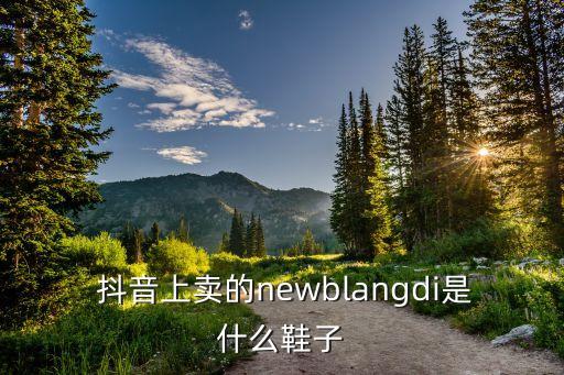  抖音上賣的newblangdi是什么鞋子