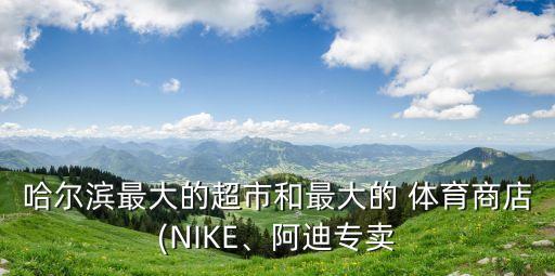 哈爾濱最大的超市和最大的 體育商店(NIKE、阿迪專賣