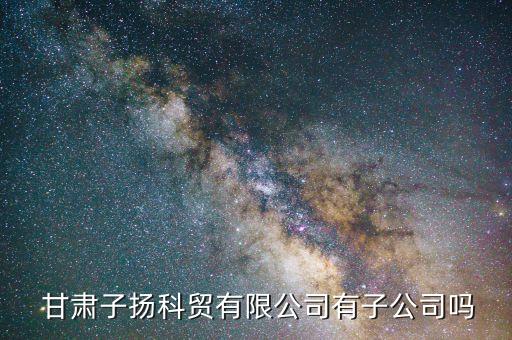  甘肅子揚科貿(mào)有限公司有子公司嗎