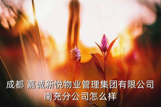 成都 嘉誠(chéng)新悅物業(yè)管理集團(tuán)有限公司南充分公司怎么樣