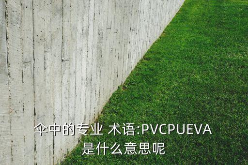 傘中的專業(yè) 術語:PVCPUEVA是什么意思呢