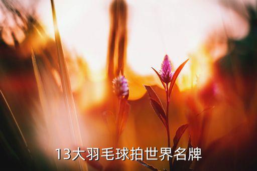 13大羽毛球拍世界名牌