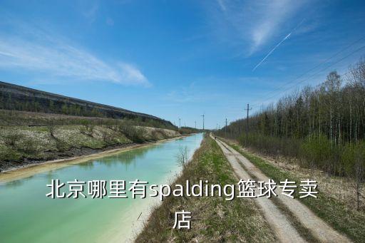 長(zhǎng)安體育用品有限公司,青島寶勝國(guó)際體育用品有限公司