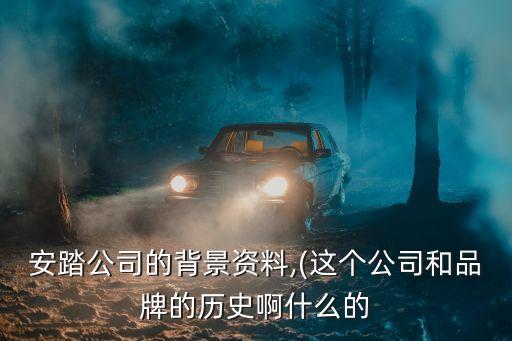 安踏公司的背景資料,(這個公司和品牌的歷史啊什么的