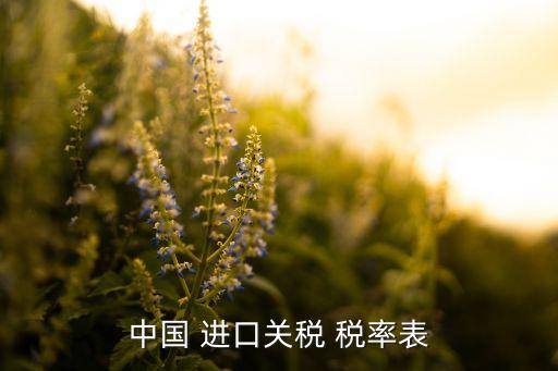 中國 進口關稅 稅率表