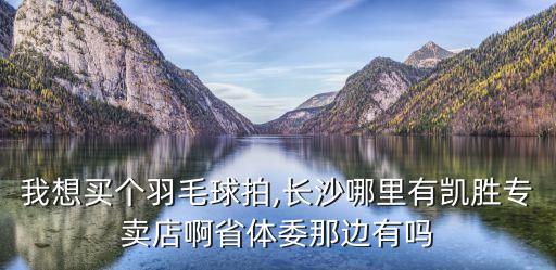 我想買個羽毛球拍,長沙哪里有凱勝專賣店啊省體委那邊有嗎