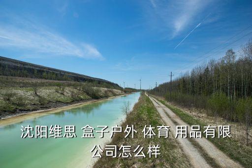 自制收納體育用品的盒子,廢舊盒子自制口罩收納盒