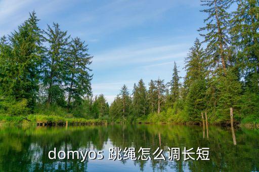 domyos 跳繩怎么調(diào)長短