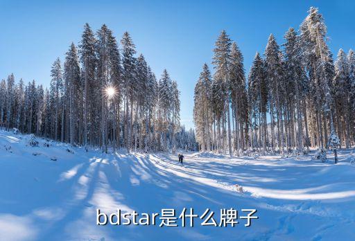 bdstar是什么牌子