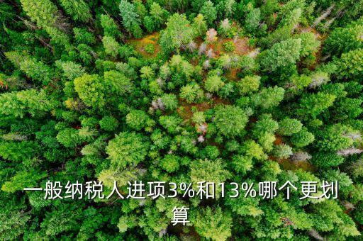 一般納稅人進項3%和13%哪個更劃算